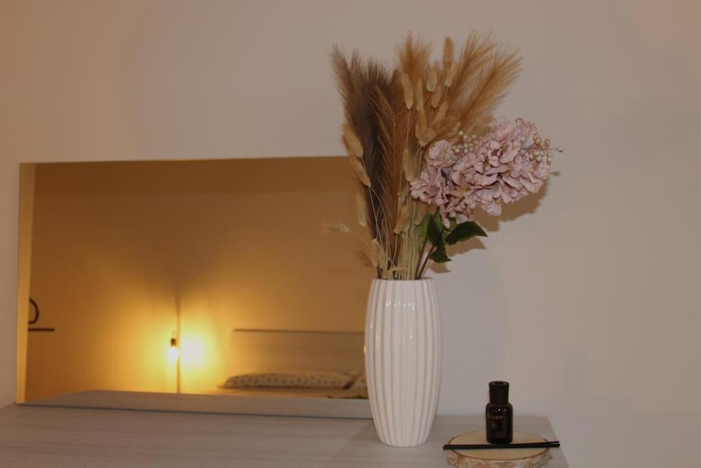 Venere Apartment 贝尔加莫 外观 照片