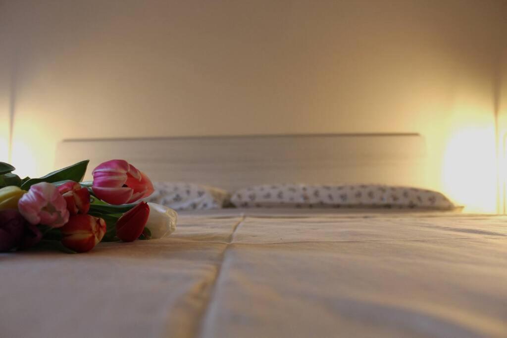 Venere Apartment 贝尔加莫 外观 照片